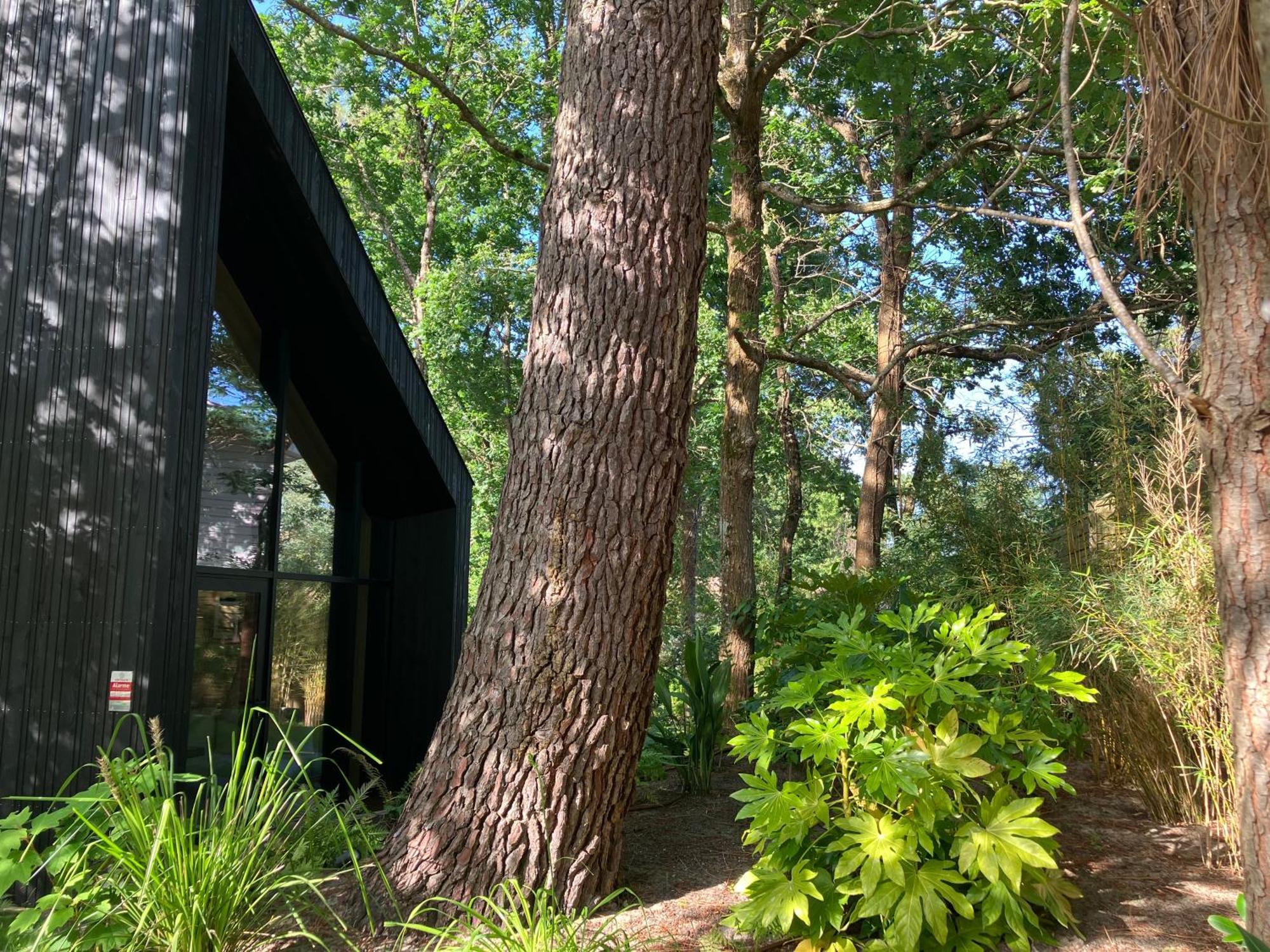 Nouveau - Ecolodge 'Calme Et Nature' - Avec Piscine Au Golf-Lac De Biscarrosse - Couchage 2 Personnes Buitenkant foto